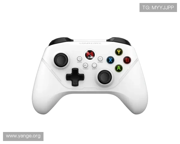 亚星000官网最新资讯与官方公告全面解析助你掌握游戏最新动态 亚星000官网最新资讯与官方公告全面解析助你掌握游戏最新动态