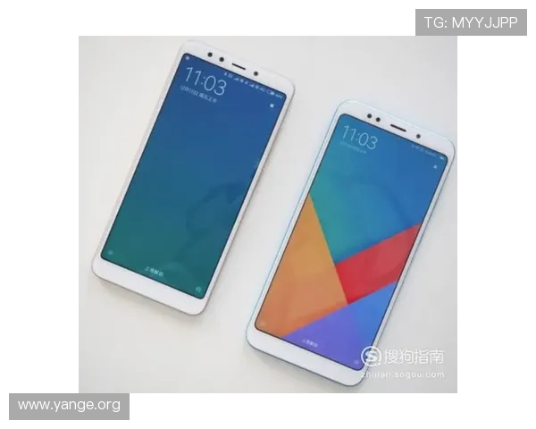 亚星手机官方地址查询指南，帮助用户轻松找到官方最新入口