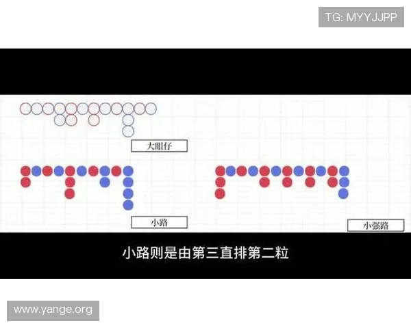 百家乐下三路秘籍揭秘让你在游戏中轻松击败庄家赢得更多